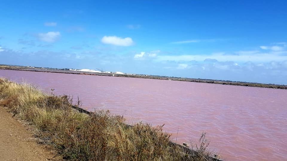 דירות לה גרנד מוט Vue Imprenable Sur Le Port, Proche Plages ! מראה חיצוני תמונה